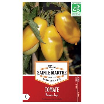 Tomate Banana Legs AB - Ferme de Ste Marthe