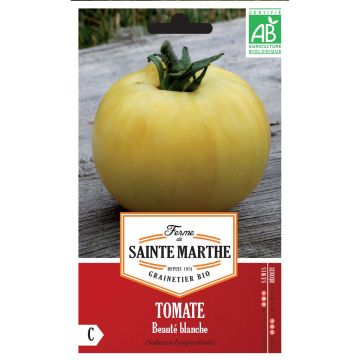 Tomate Beauté Blanche Bio - Ferme de Sainte Marthe