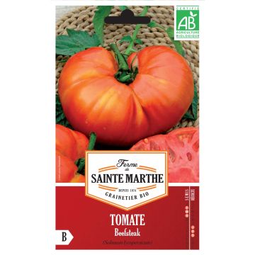 Tomate Beefsteak Bio - Ferme de Sainte Marthe