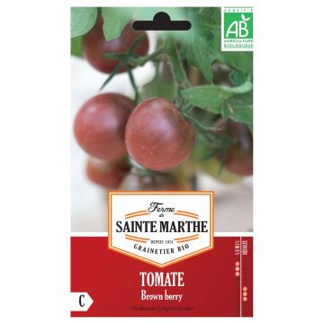 Tomate Brown Berry Bio - Ferme de Sainte Marthe