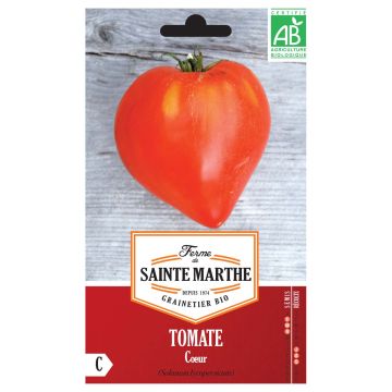 Tomate Coeur Bio - Ferme de Sainte Marthe