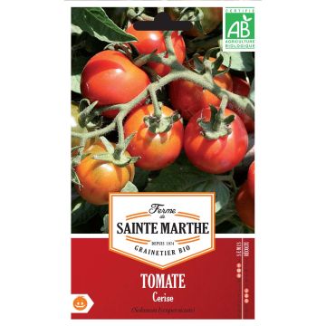Tomate cerise Bio - Ferme de Sainte Marthe