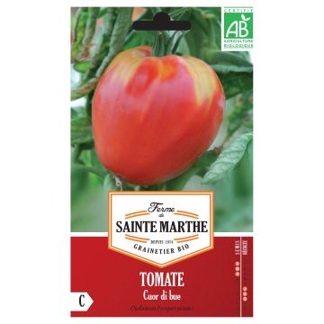 Tomate Cuor Di Bue Bio - Cœur de Bœuf - Ferme de Sainte Marthe
