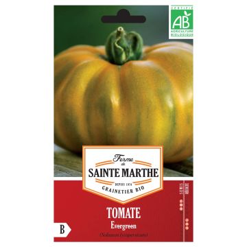 Tomate Evergreen Bio - Ferme de Sainte Marthe