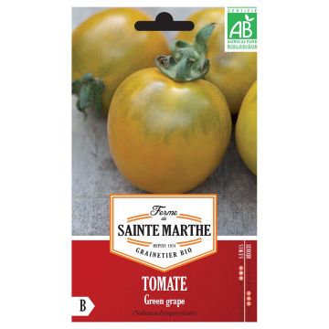 Tomate Green Grape Bio - Ferme de Sainte Marthe