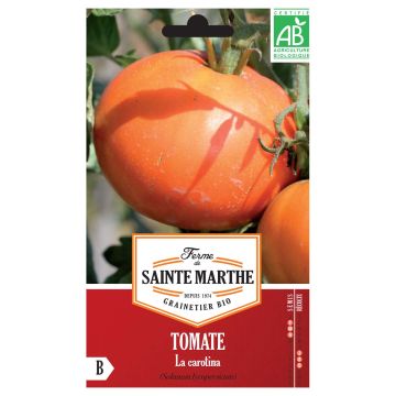 Tomate La Carotina Bio - Ferme de Sainte Marthe