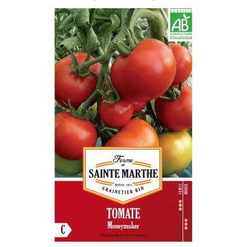 Tomate Moneymaker Bio - Ferme de Sainte Marthe