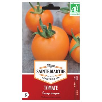 Tomate Orange Bourgoin AB - Ferme de Ste Marthe