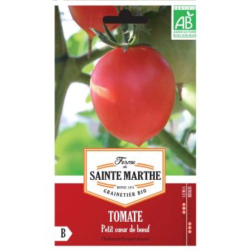Tomate Petit Coeur de Boeuf Bio - Ferme de Sainte Marthe