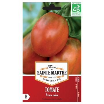 Tomate Prune Noire Bio - Ferme de Sainte Marthe