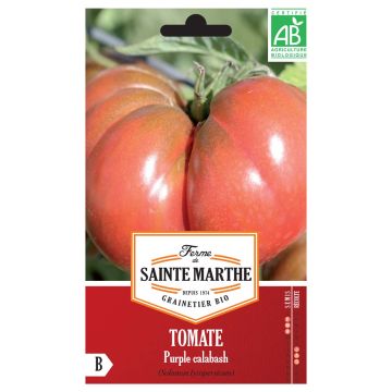Tomate Purple Calabash Bio - Ferme de Sainte Marthe