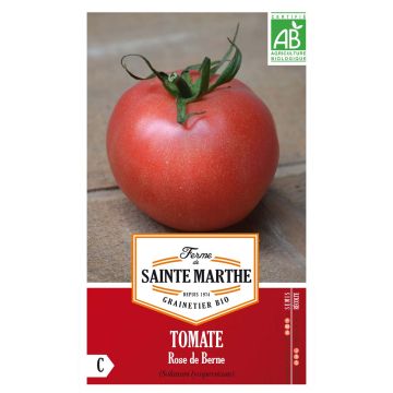 Tomate Rose de Berne Bio - Ferme de Sainte Marthe
