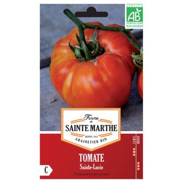Tomate Sainte Lucie Bio - Ferme de Sainte Marthe