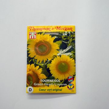 Graines de Tournesol Green Heart F1 - Helianthus annuus