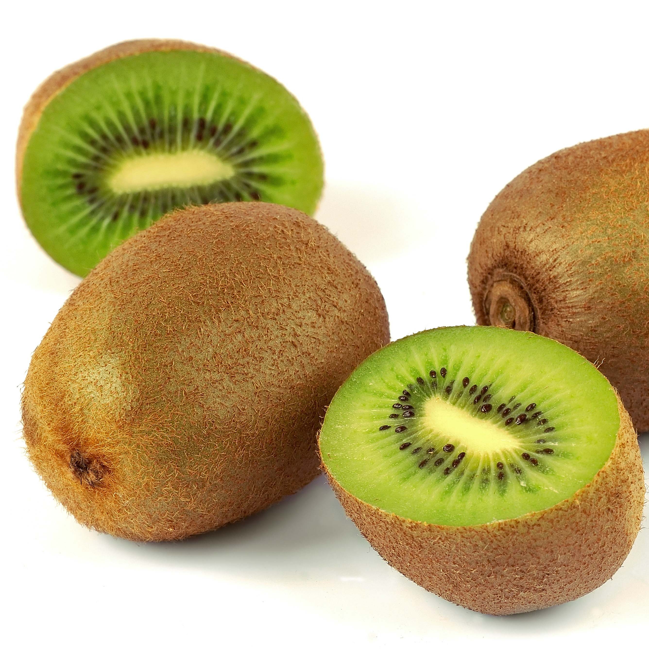 Kiwi mâle - Actinidia deliciosa Belen