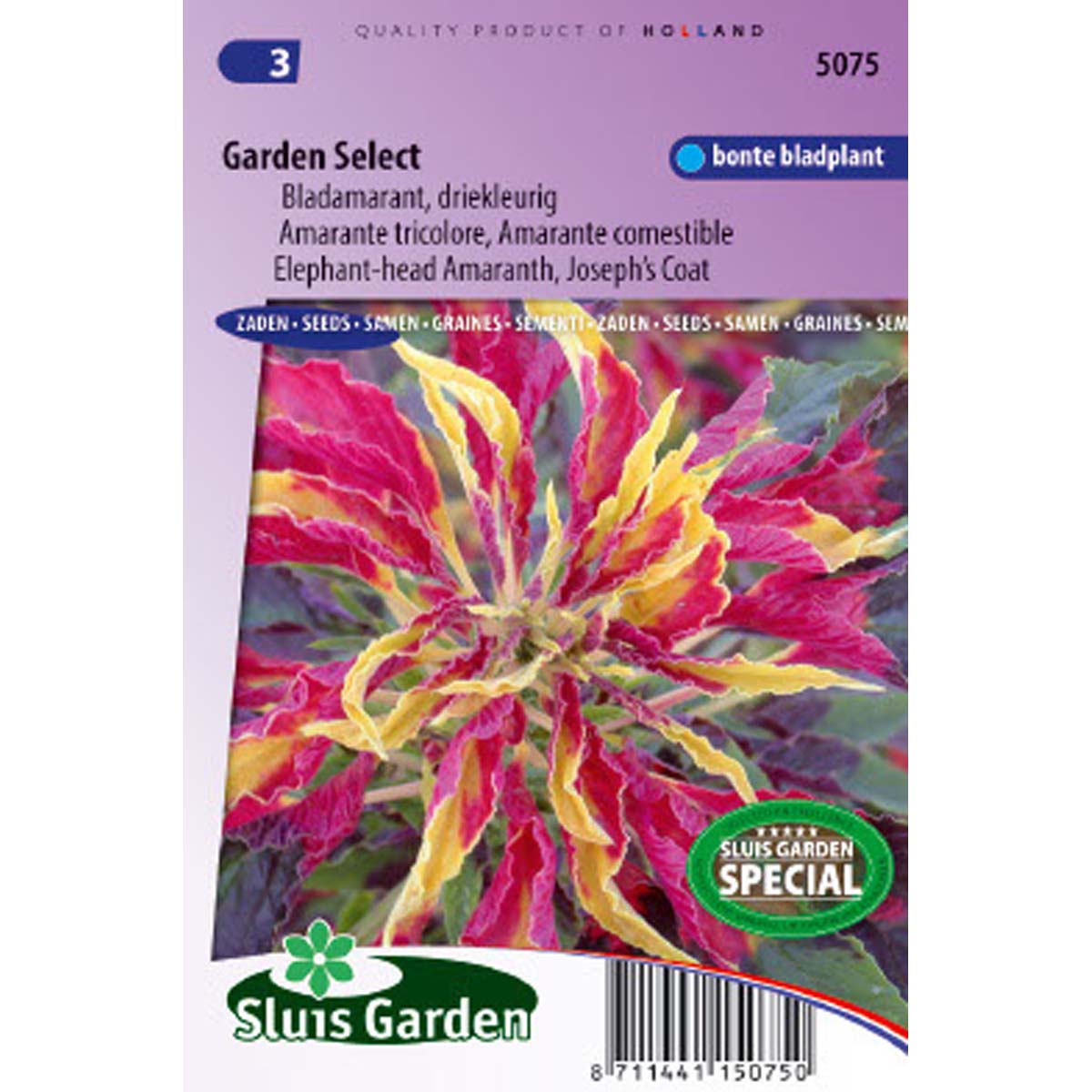 Graine d'Amaranthus tricolor - Amarante Garden Select