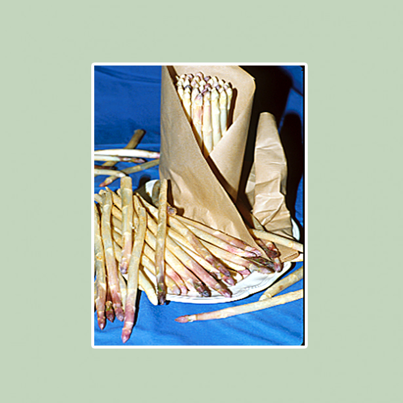 Asperge Argenteuil en graines - Asparagus officinalis