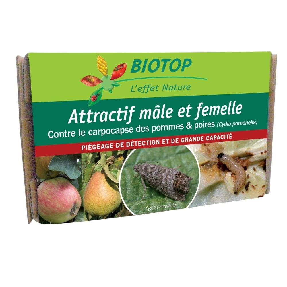 Attractif Carpocapses combo mâles et femelles Biotop - 1 capsule