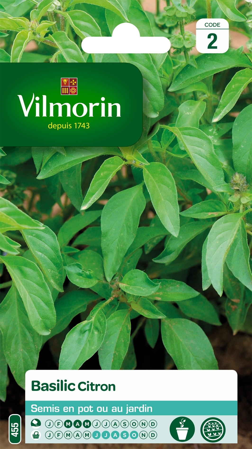 Basilic Citron - Vilmorin