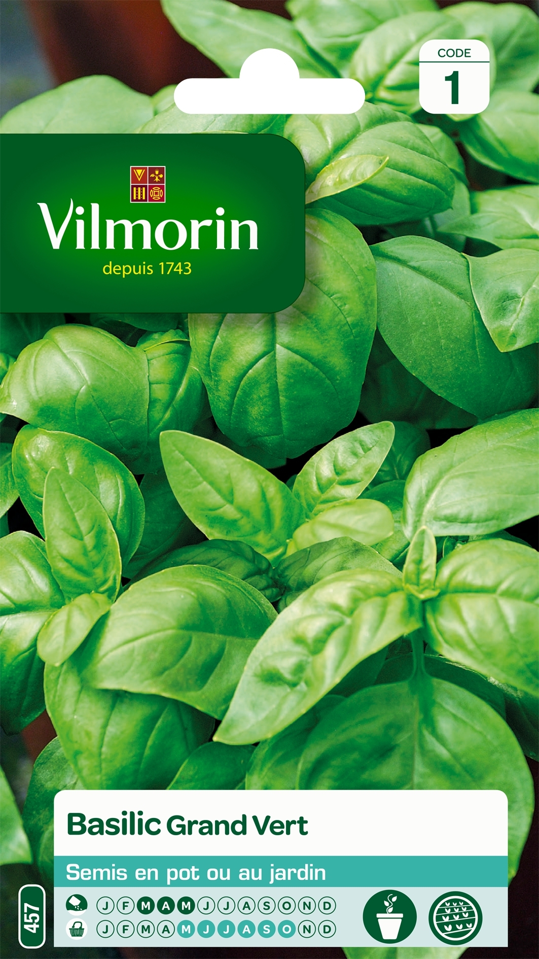 Basilic Grand vert - Vilmorin