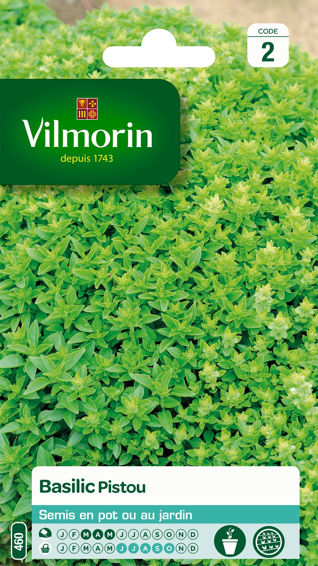 Basilic Pistou - Vilmorin