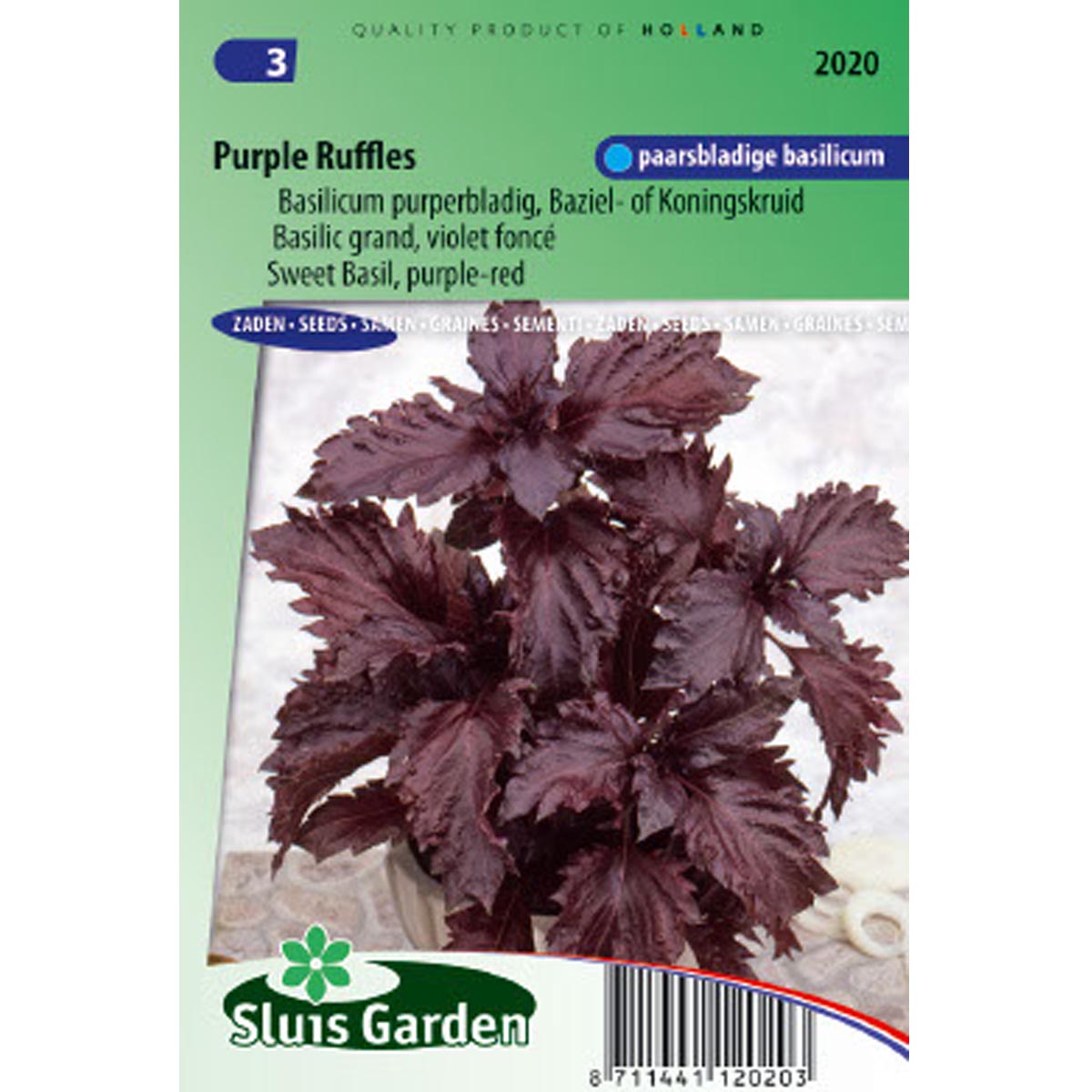 Basilic Purple Ruffles