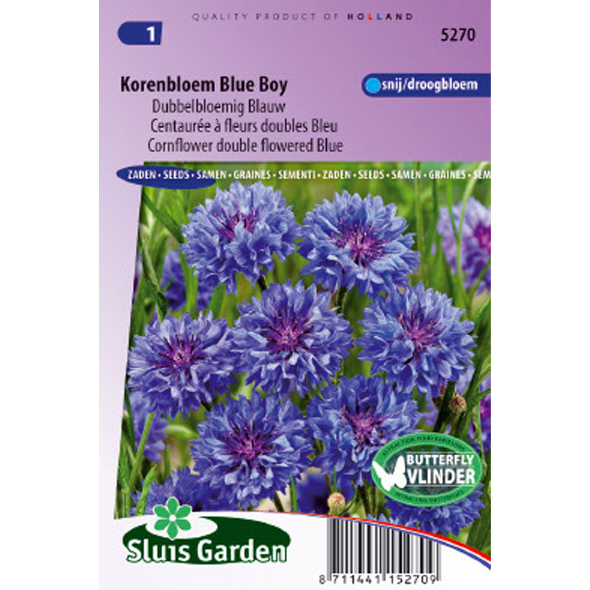 Centaurée à fleurs doubles Blue Boy - Centaurea cyanus