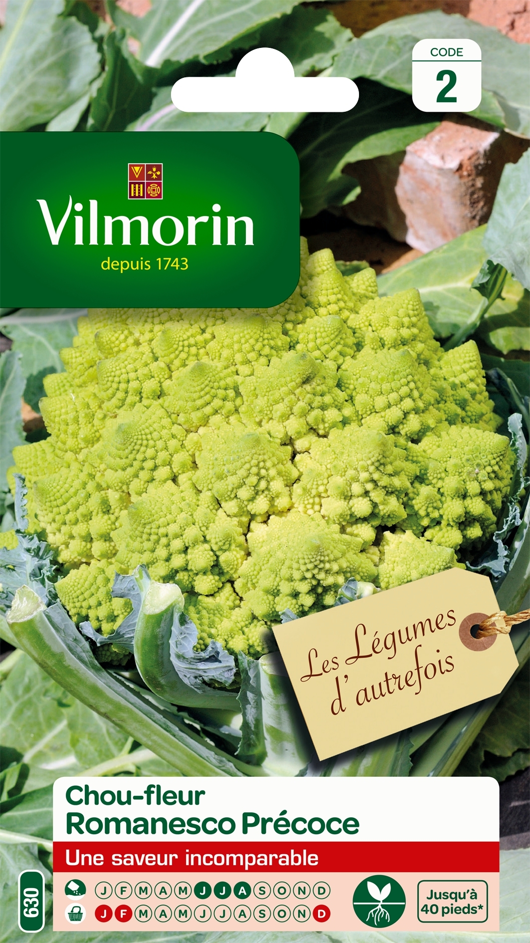 Chou Brocoli Romanesco précoce - Vilmorin