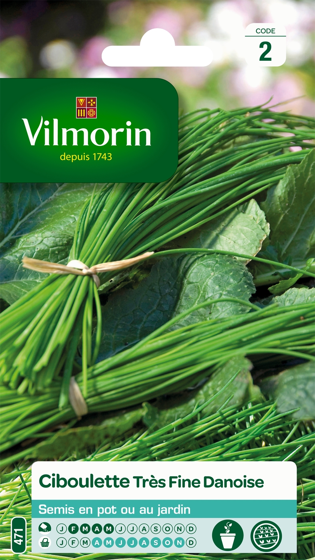 Ciboulette très fine danoise - Vilmorin