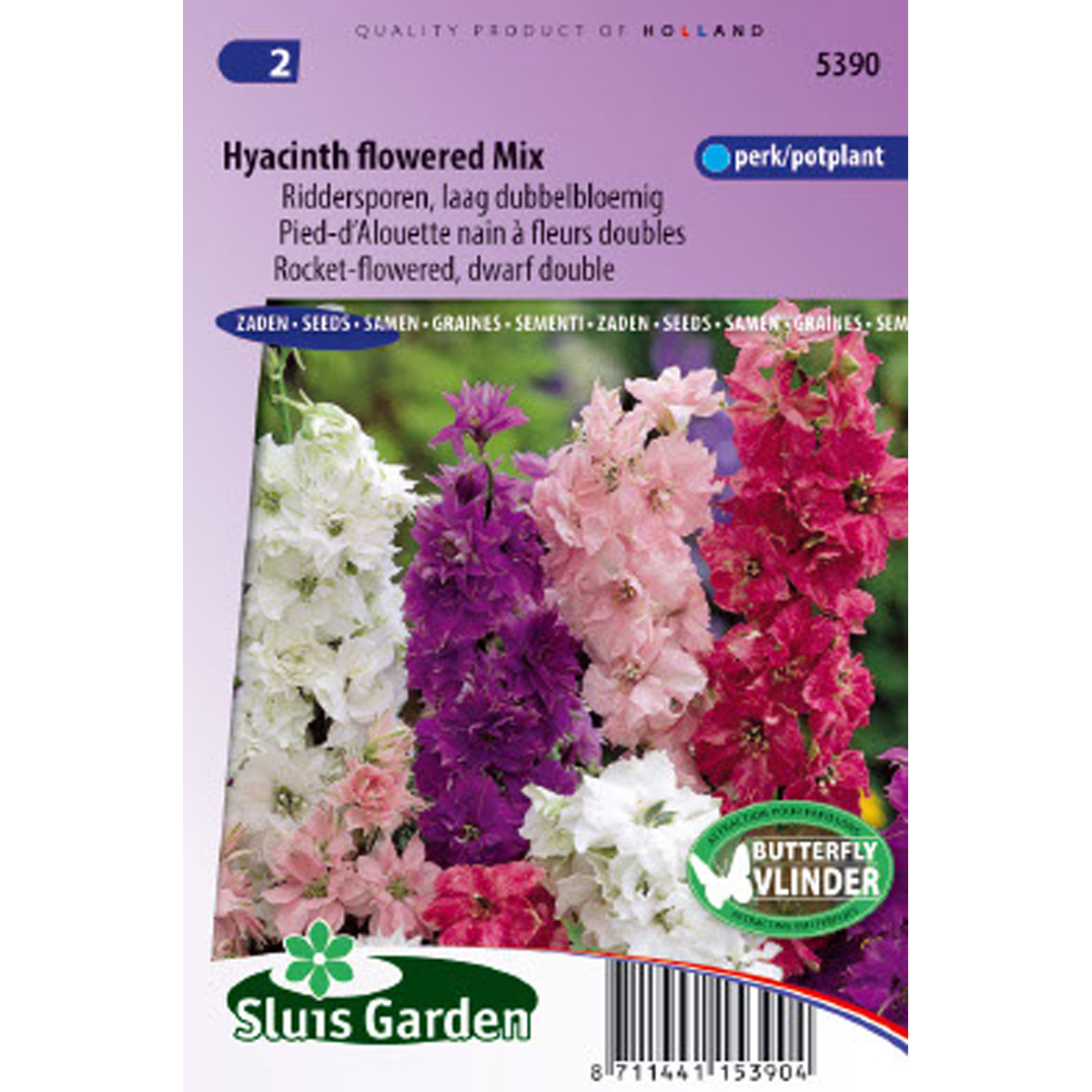 Delphinium Hyacinth Flowered Mix - Pied d'Alouette annuel nain en mélange