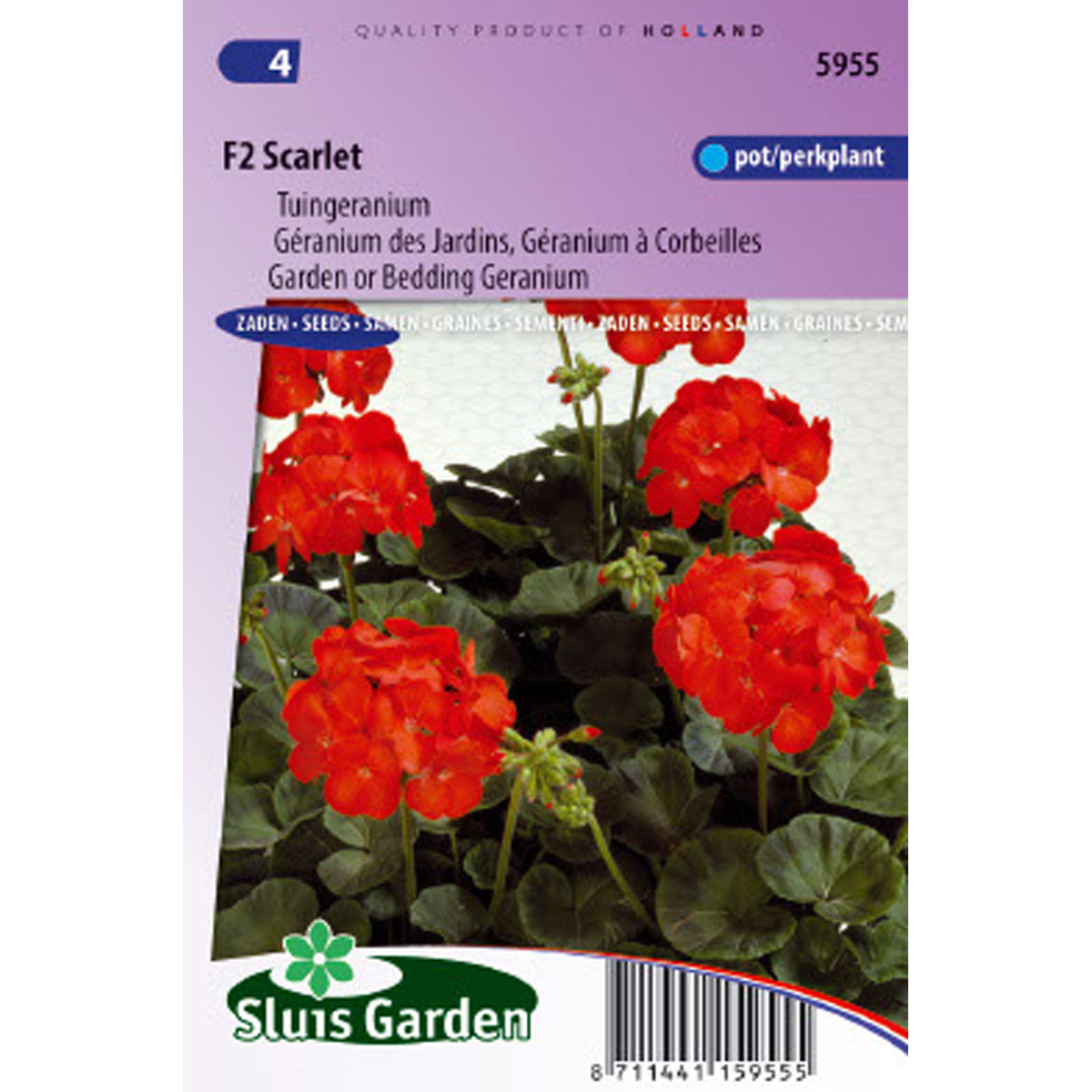 Géranium des Jardins F2 Scarlet - Pelargonium