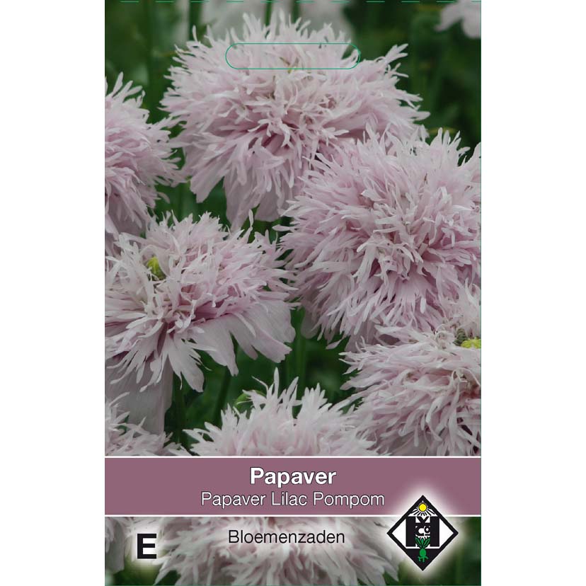Graines de Pavot annuel Lilac Pompom - Papaver somniferum
