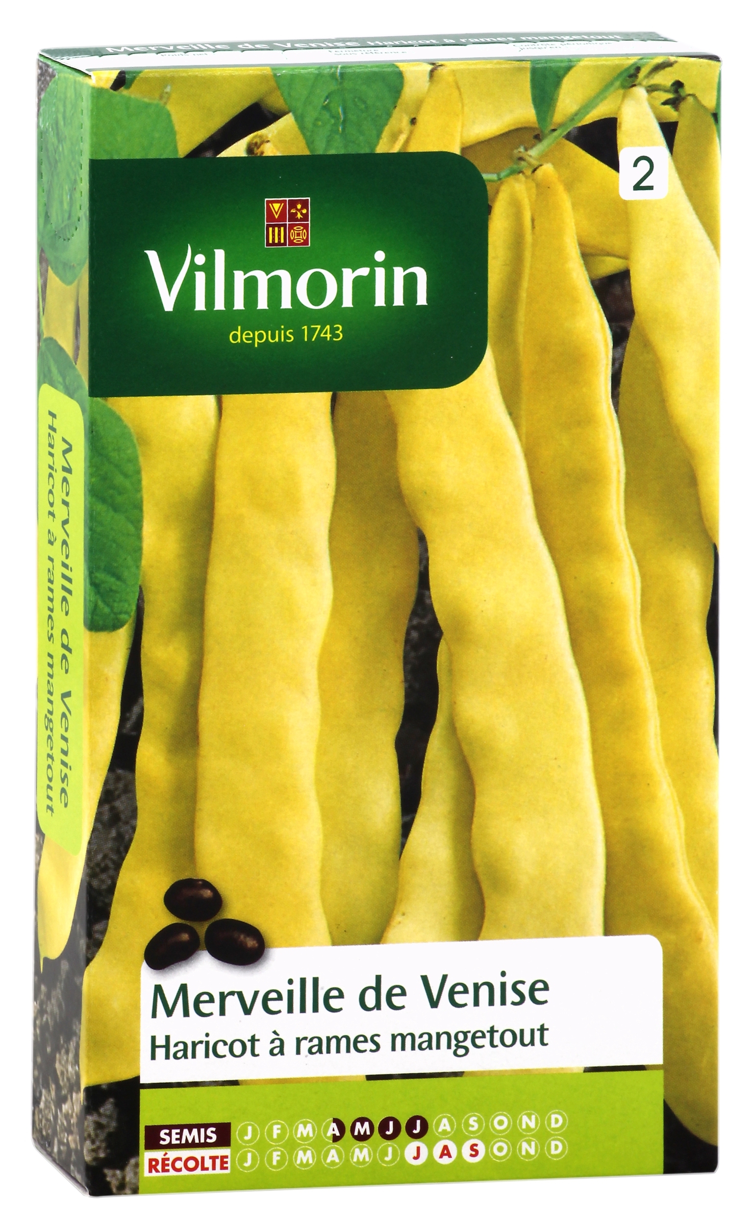 Haricot à rames mangetout beurre Merveille de Venise ou Or du Rhin - Vilmorin 