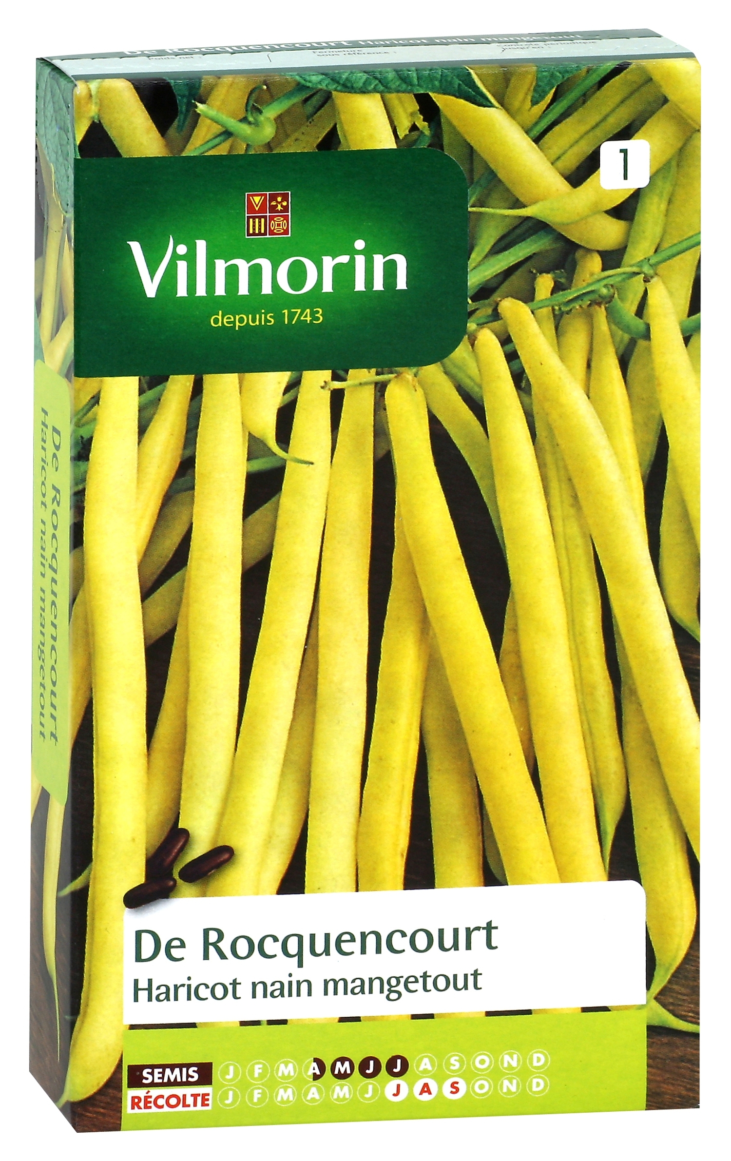 Haricot nain mangetout Beurre de Rocquencourt - Vilmorin