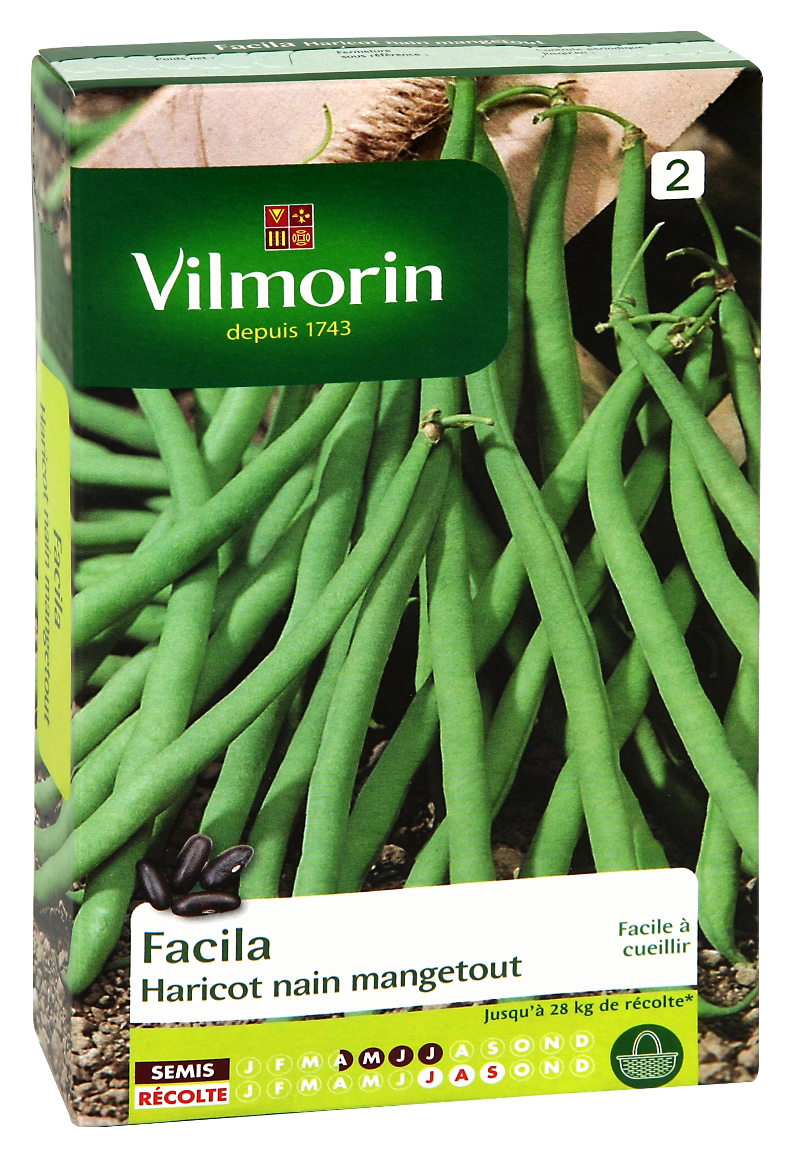 Haricot nain mangetout Facila (facile à cueillir) - Vilmorin