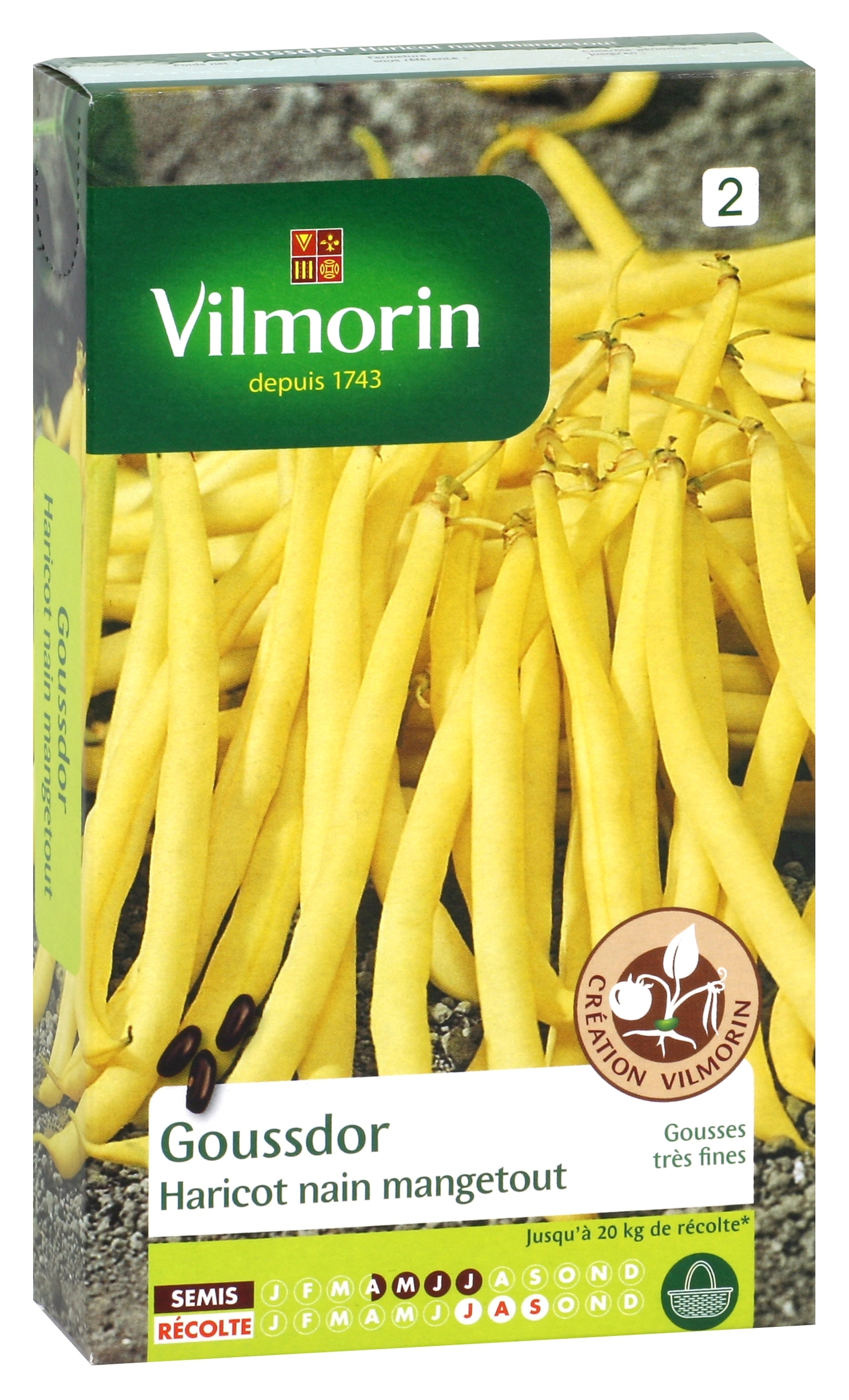 Haricot nain mangetout beurre Goussdor (Création Vilmorin) - Vilmorin