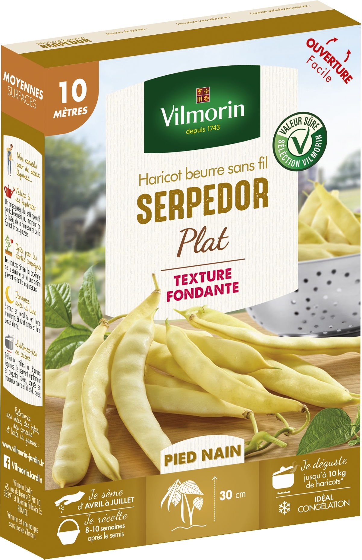 Haricot nain mangetout beurre Serpedor - Coco plat - Vilmorin