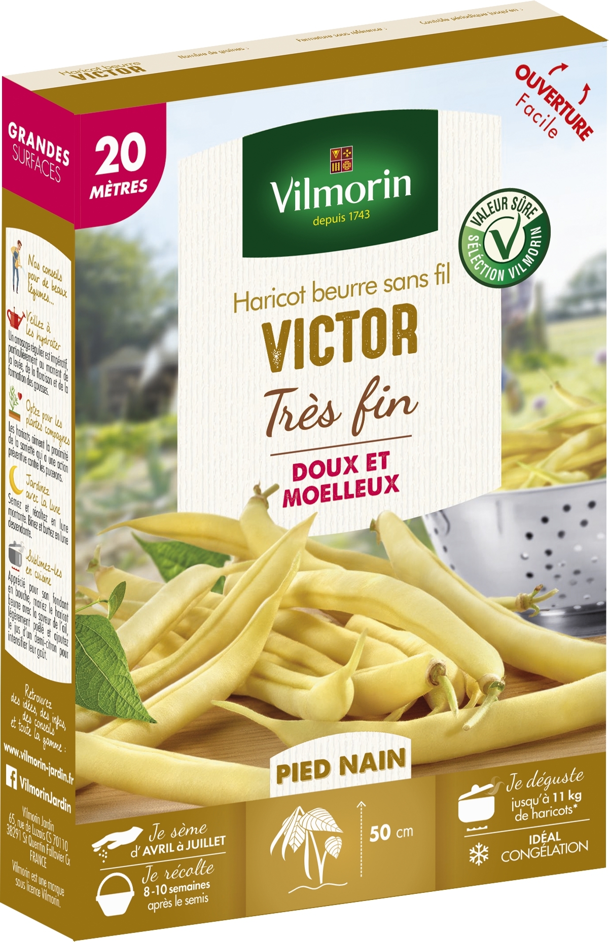 Haricot nain mangetout beurre Victor - Vilmorin