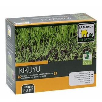 Graines de Kikuyu 0.5 kg - Pennisetum clandestinum