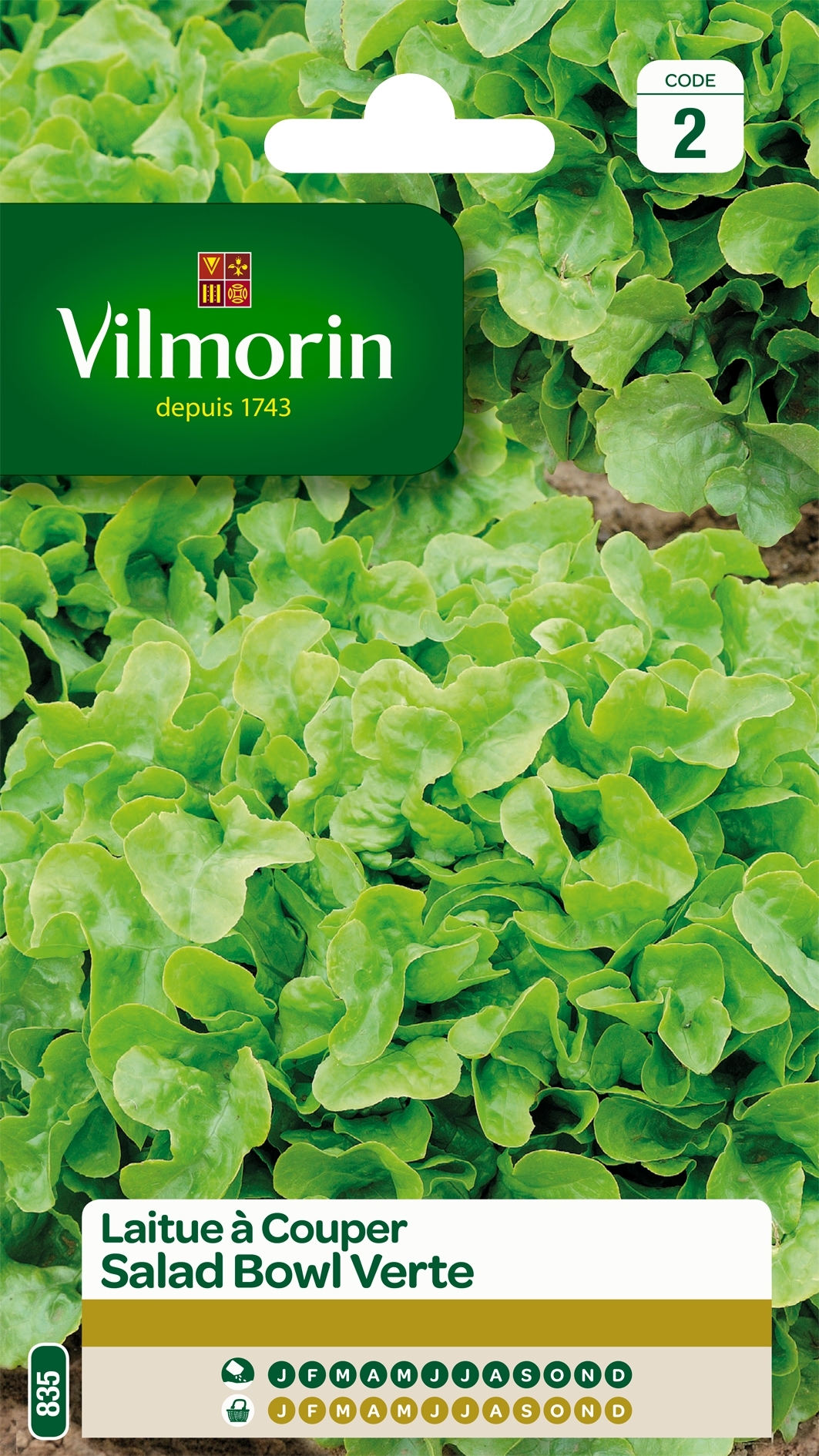 Laitue à couper Salad Bowl verte - Vilmorin