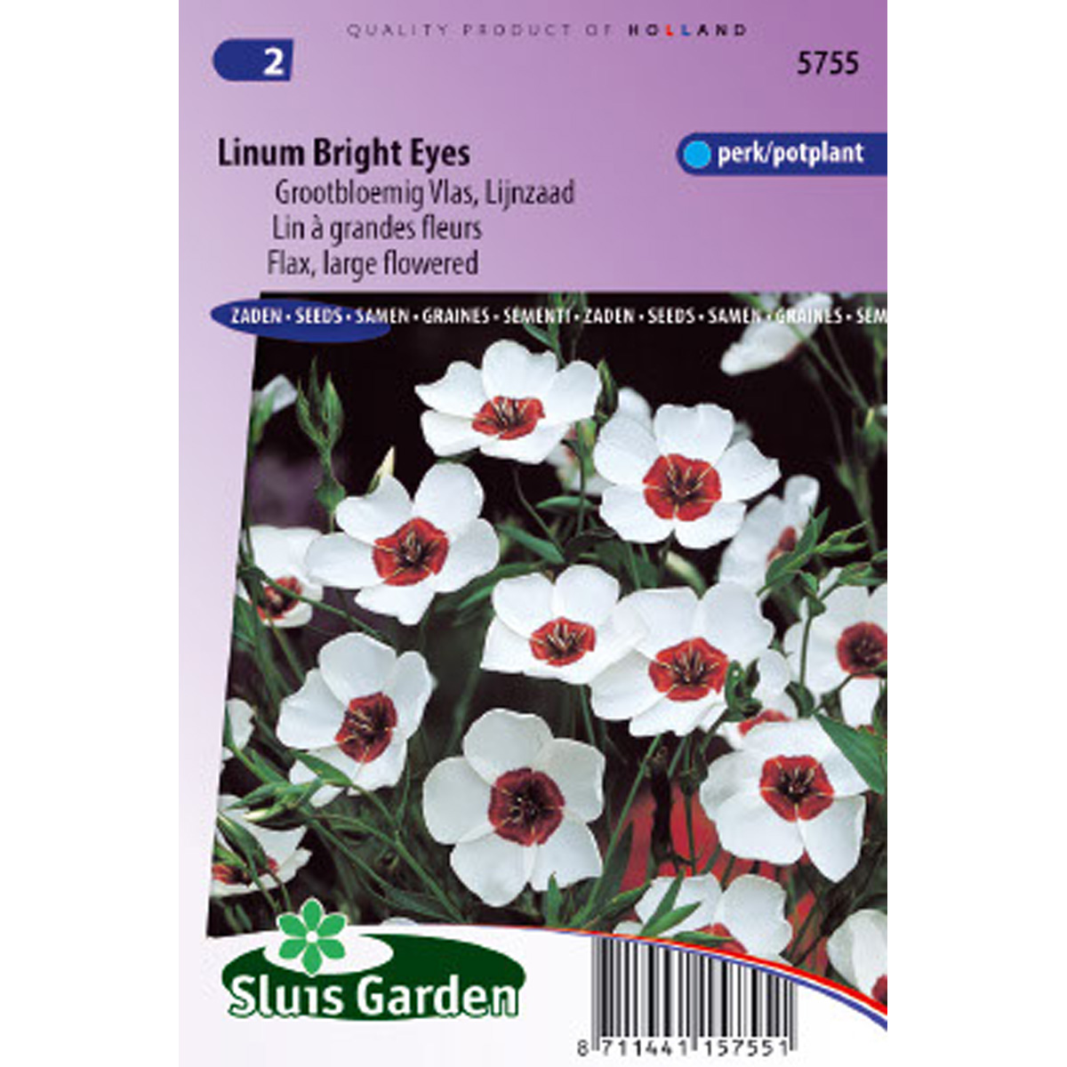 Lin annuel à grandes fleurs Bright Eyes - Linum grandiflorum