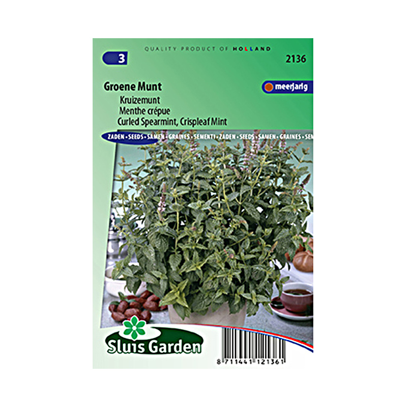 Menthe frisée ou crépue (Graines) - Mentha spicata crispata