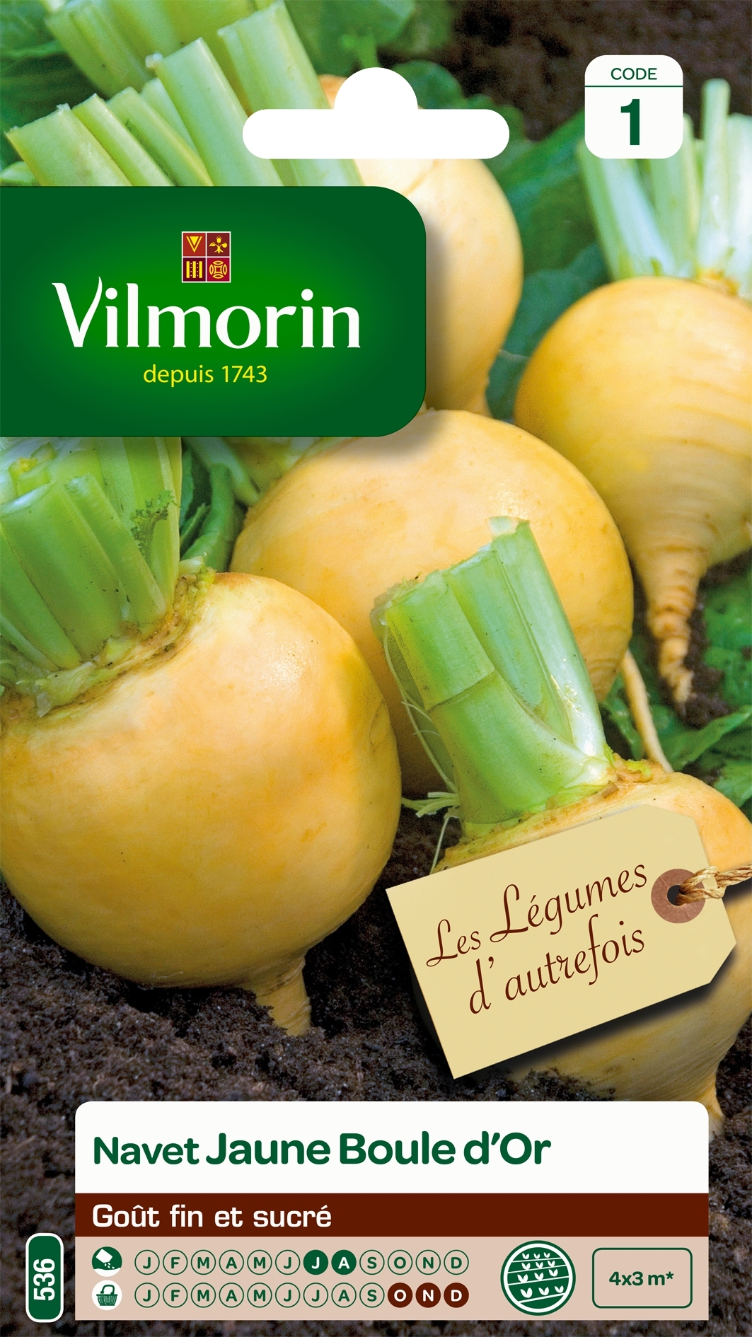 Navet jaune Boule d'Or - Vilmorin - Brassica rapa