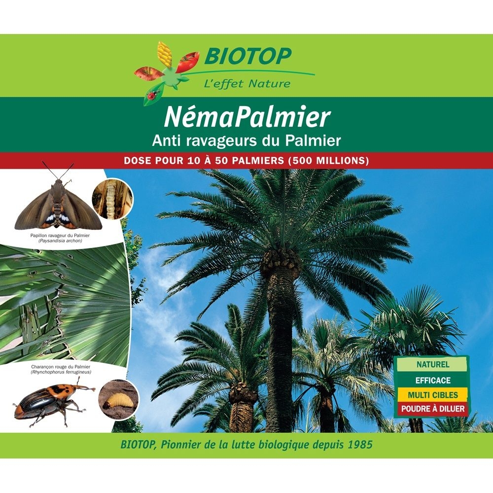 Nématodes NémaPalmier Biotop contre les ravageurs du palmier boîte de 500 millions