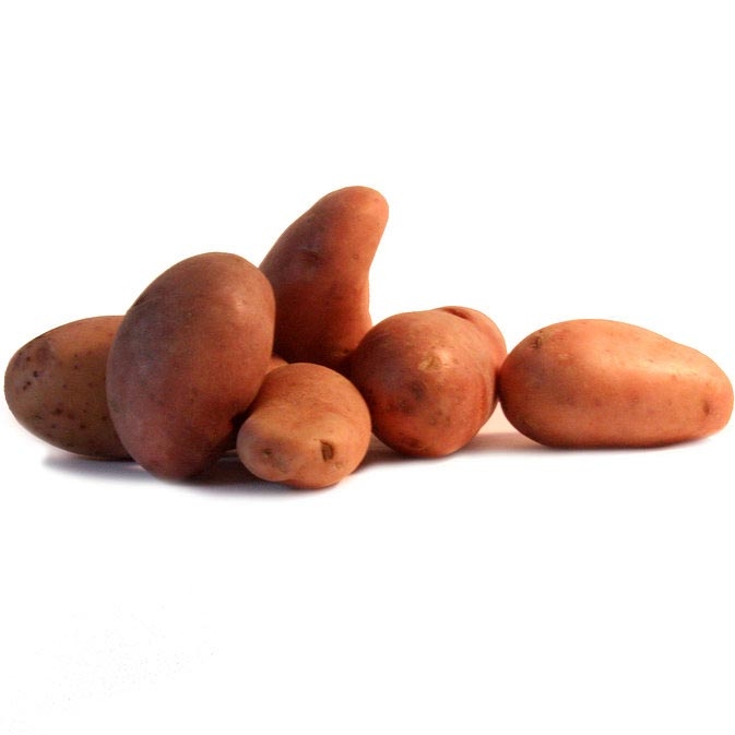 Pommes de terre Jeannette Bio 28/45 25 plants - Solanum tuberosum
