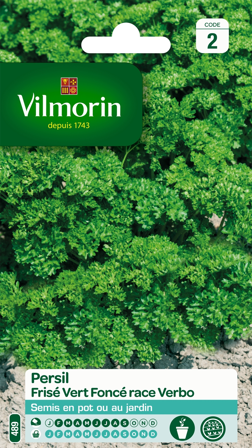 Persil frisé race Verbo (sélection Vilmorin) - Vilmorin