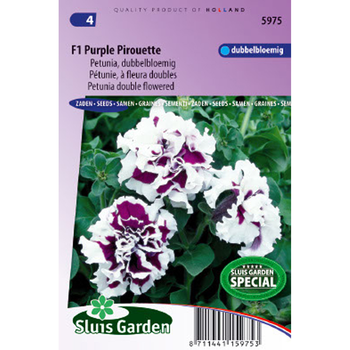 Pétunia à fleurs doubles F1 Purple Pirouette - Petunia x multiflora
