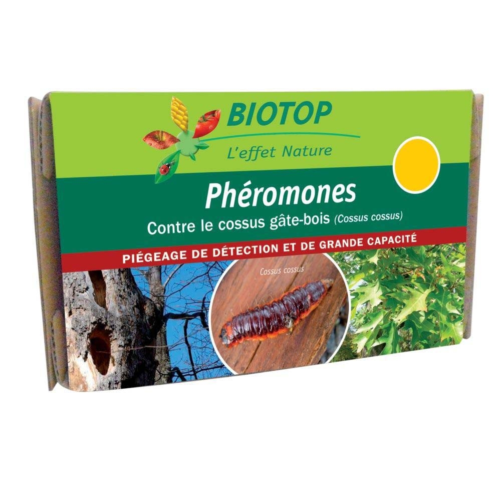 Phéromones Cossus cossus ou Cossus gâte-bois Biotop - 2 capsules