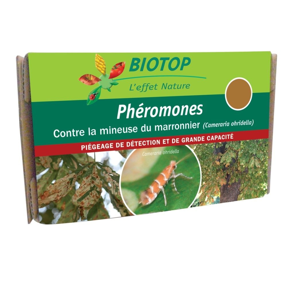 Phéromones spéciales Mineuse du marronnier Cameraria ohridella Biotop - 2 capsules