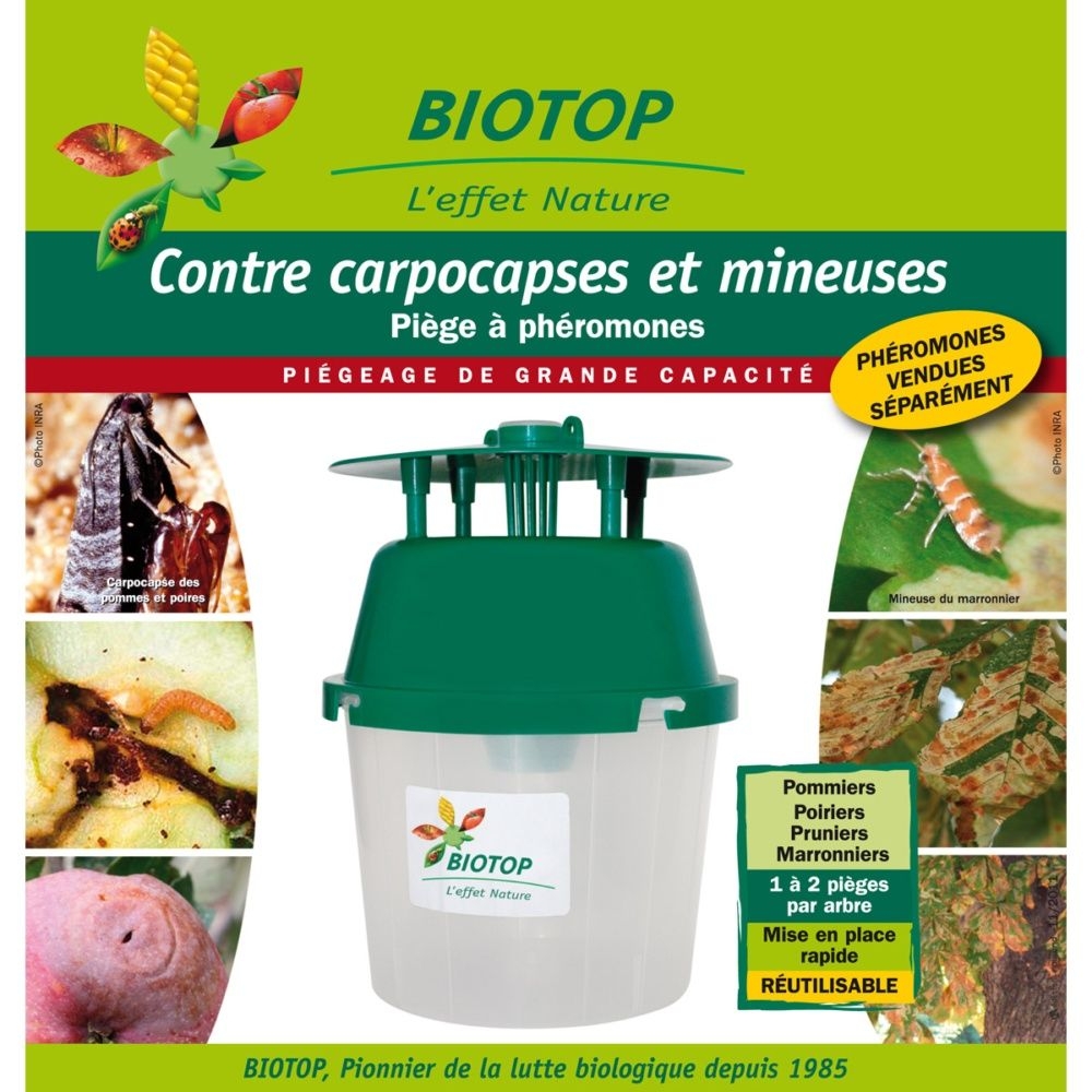 Piège entonnoir Biotop seul (différents lépidoptères : Carpocapses, Mineuse du marronnier)